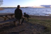 Hundturism växer i Västmanland