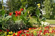 Köping i blom – sommarens planteringar klara