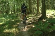 Nya mountainbike-spår i Kungsör