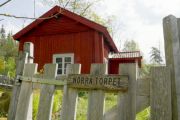 Byt plantor och bevara kulturarvet