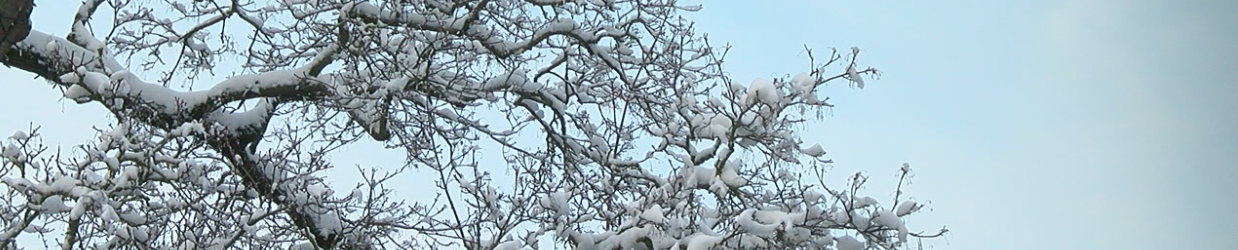 vinter1