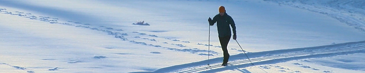 vinter2